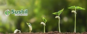 Read more about the article Plant Growth Promoters For A Better Quality of Plants & Crops