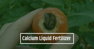Why Calcium Liquid Fertilizer is Crucial for Crops?